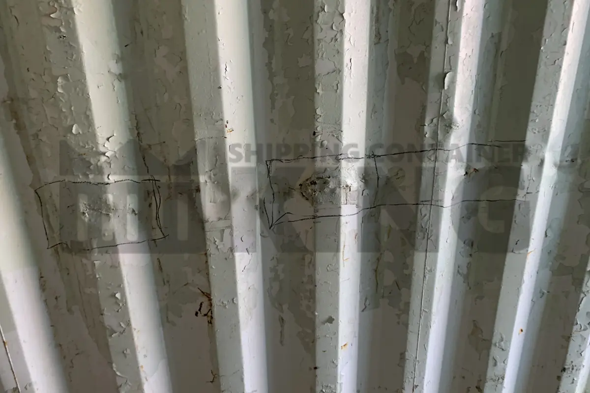 Container product image.
