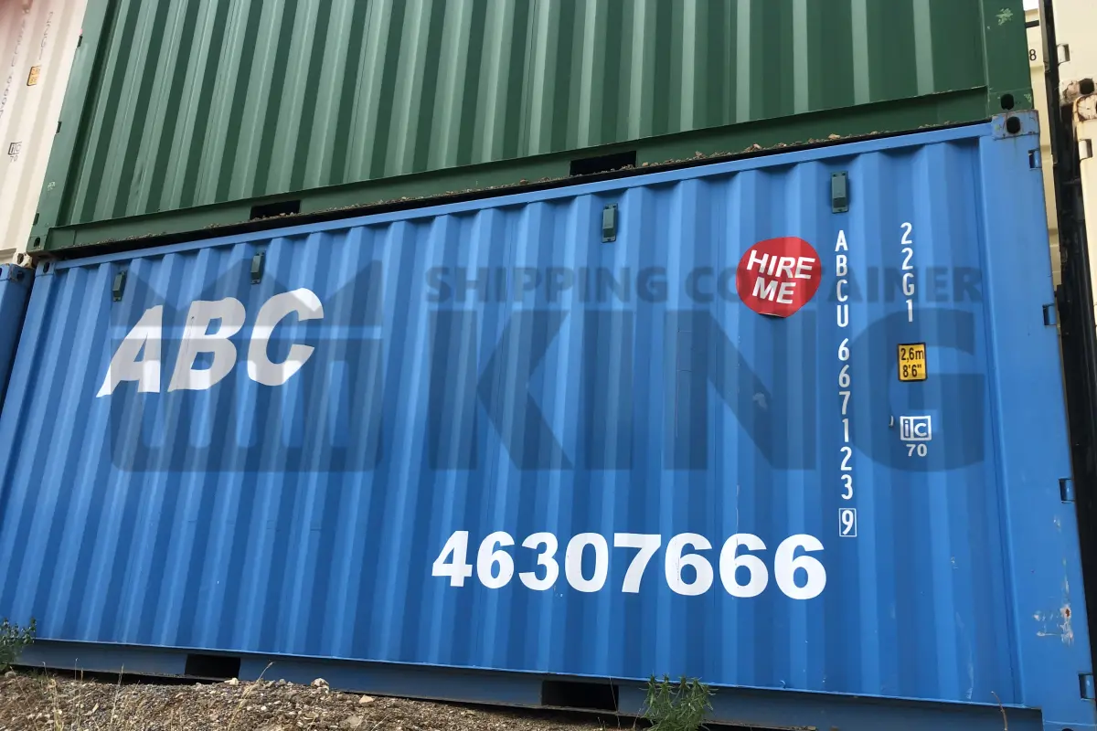 20' Standard Height Steel Container (Doors One End)